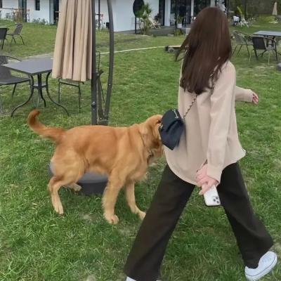 波涛