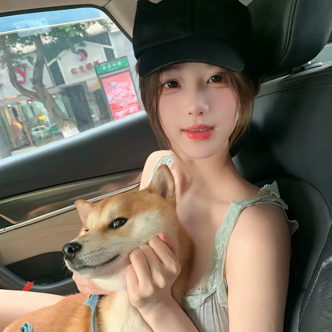 命运小说家