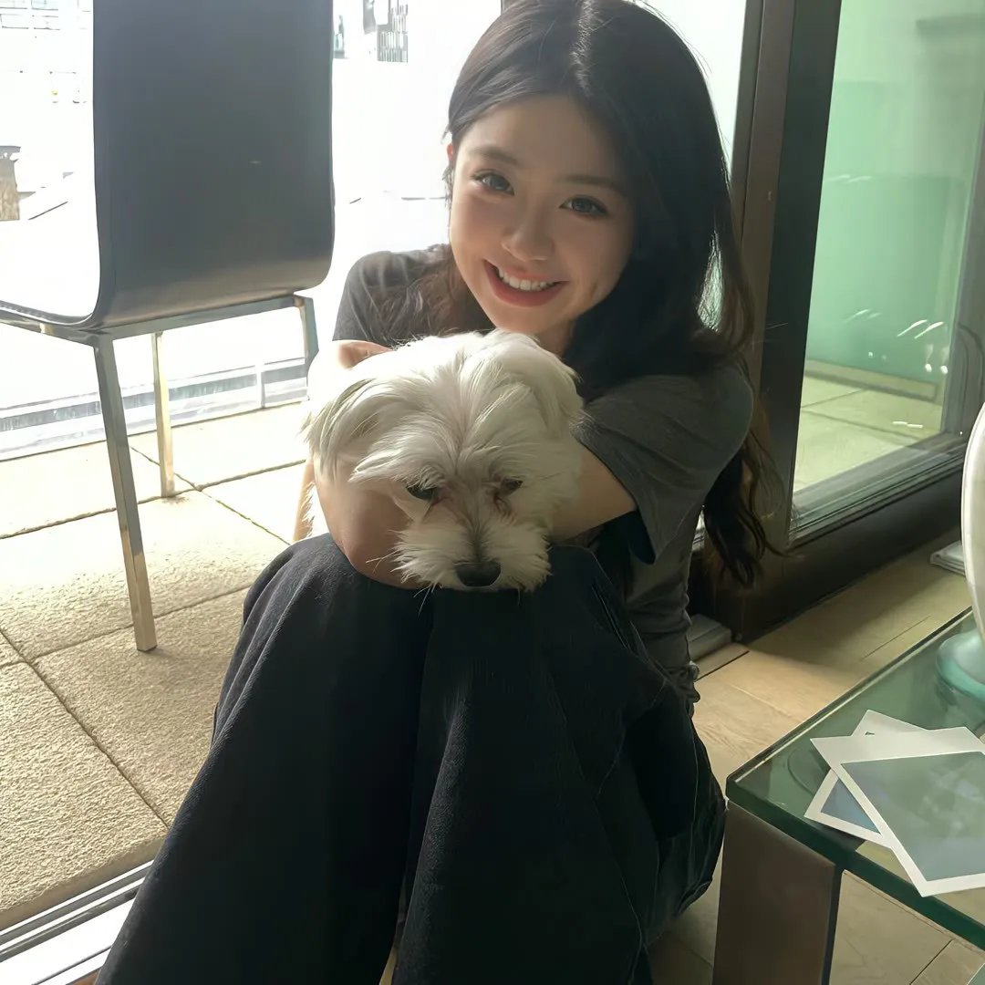 101朵玫瑰